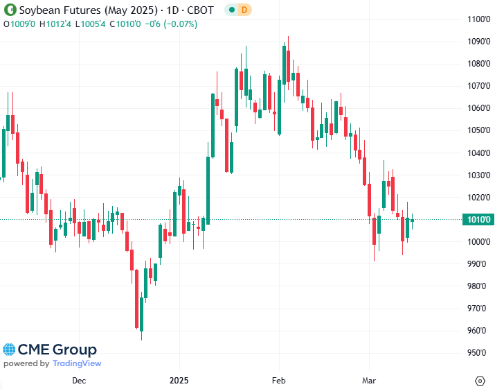 20250314 - CME Soybean Mai 2025 s