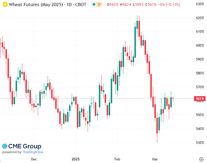 20250314 - CME Wheat Mai 2025 s