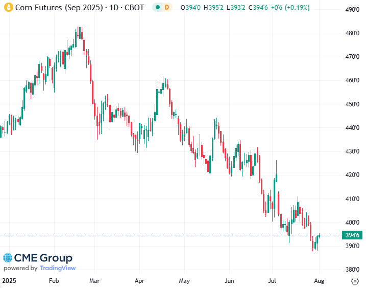 20250801 - CME Corn September 2025 s