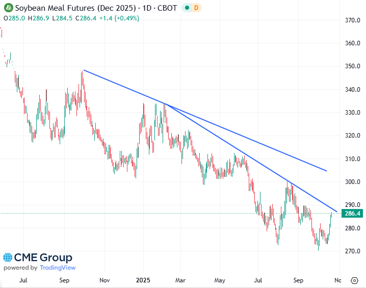 20251021 - CME Soybean meal Dec 2025 s