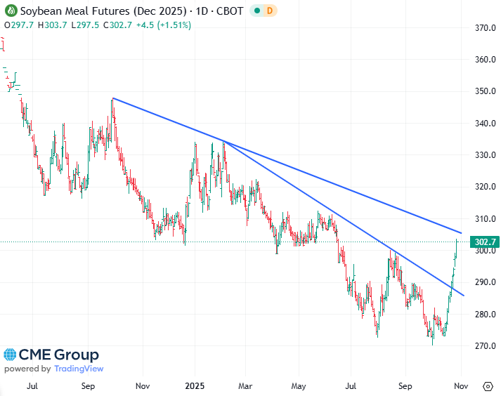 20251028 - CME Soybean meal Dec 2025 s
