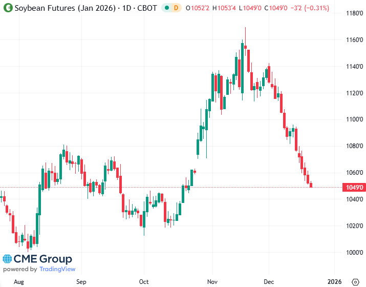 20251219 - CME Soybean Jan 2026 S
