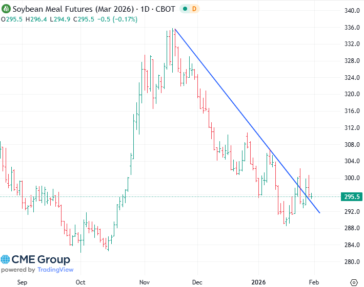 20260130 - CME Soybean meal Mrs 2026 s