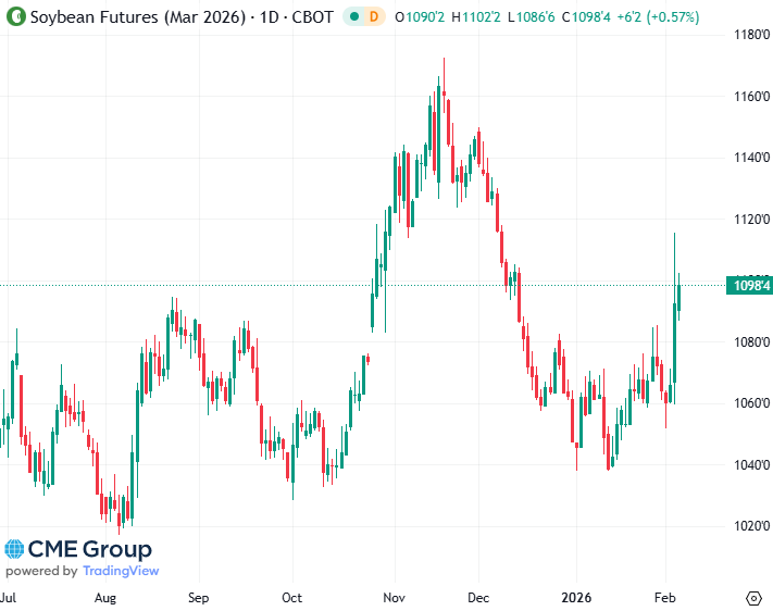20260205 - CME Soybean Mrs 2026 s