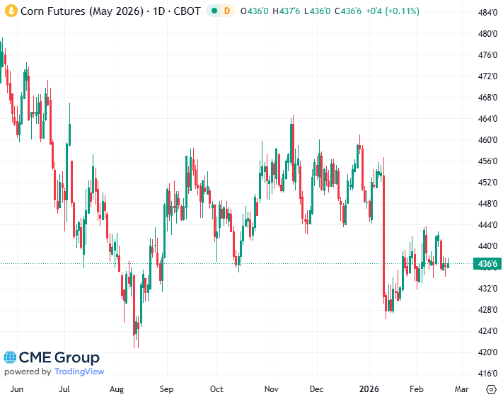 20260220 - CME Corn May 2026 s