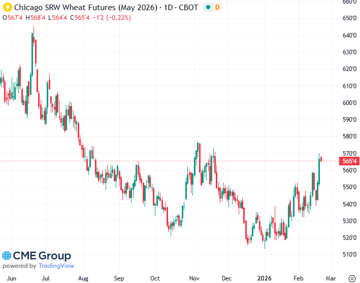 20260220 - CME Wheat May 2026 s