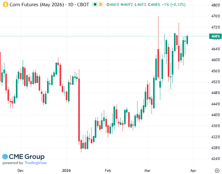 20260327 - CME Corn May 2026 s