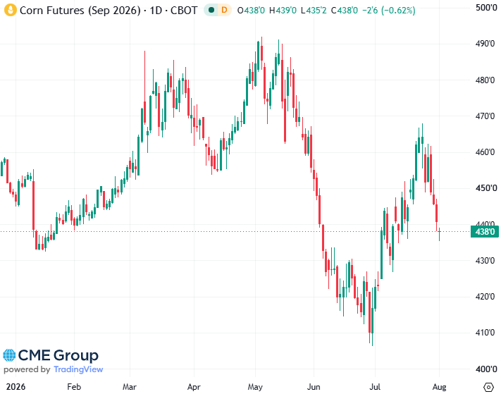 20260803- CME Corn Spt 2026 20260803- CME Corn Spt 2026